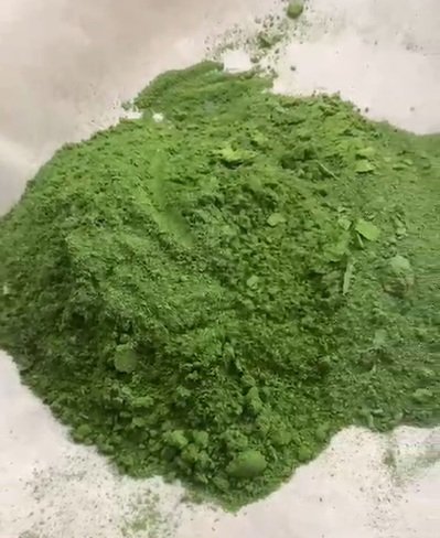 Freeze dried moringa powder