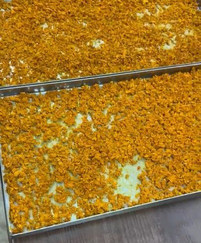 Freeze dried turmeric