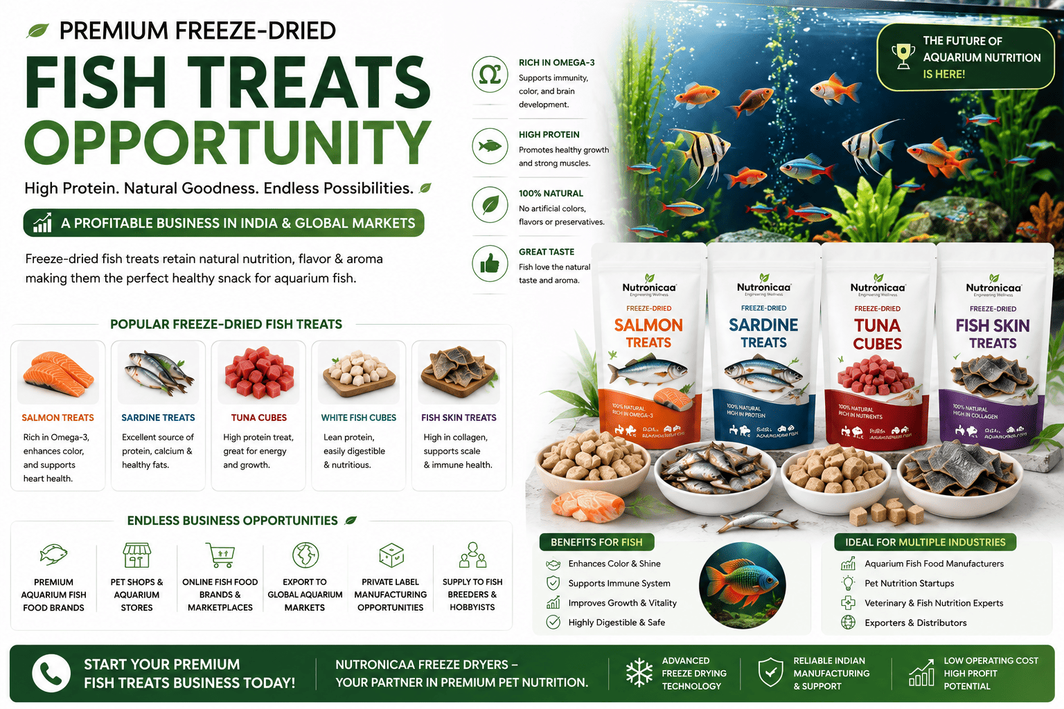 Freeze-dried fish treats business opportunity in India for pet and aquarium nutrition