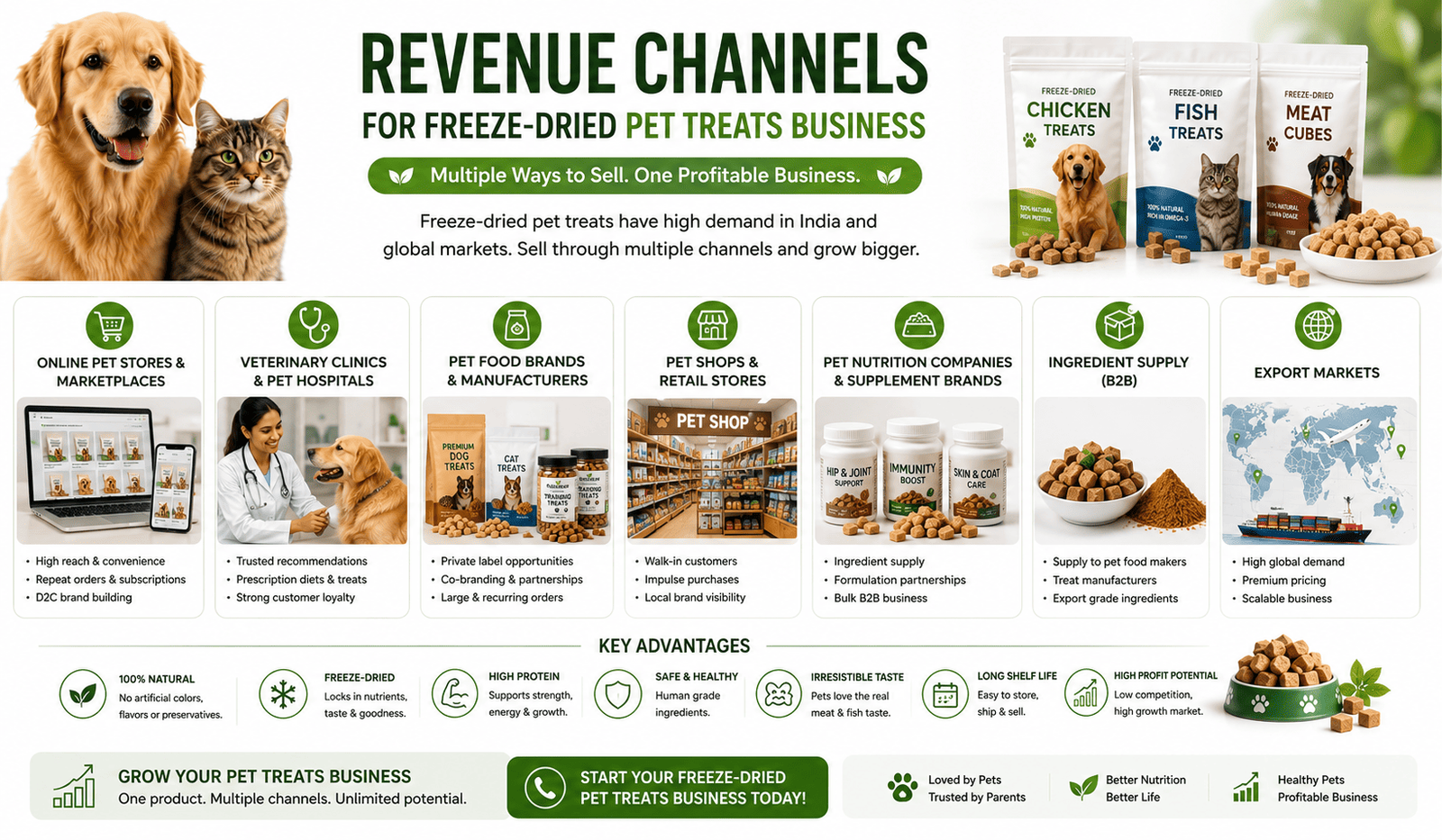 Revenue channels for freeze-dried pet treats business in India