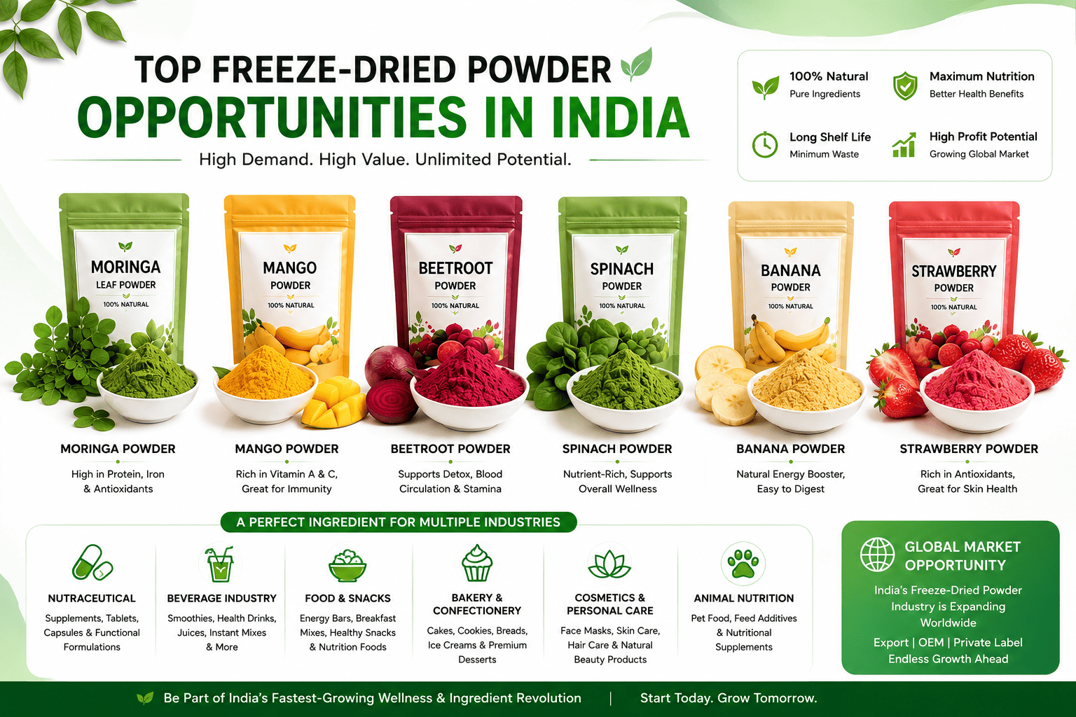 Top freeze-dried powder opportunities in India