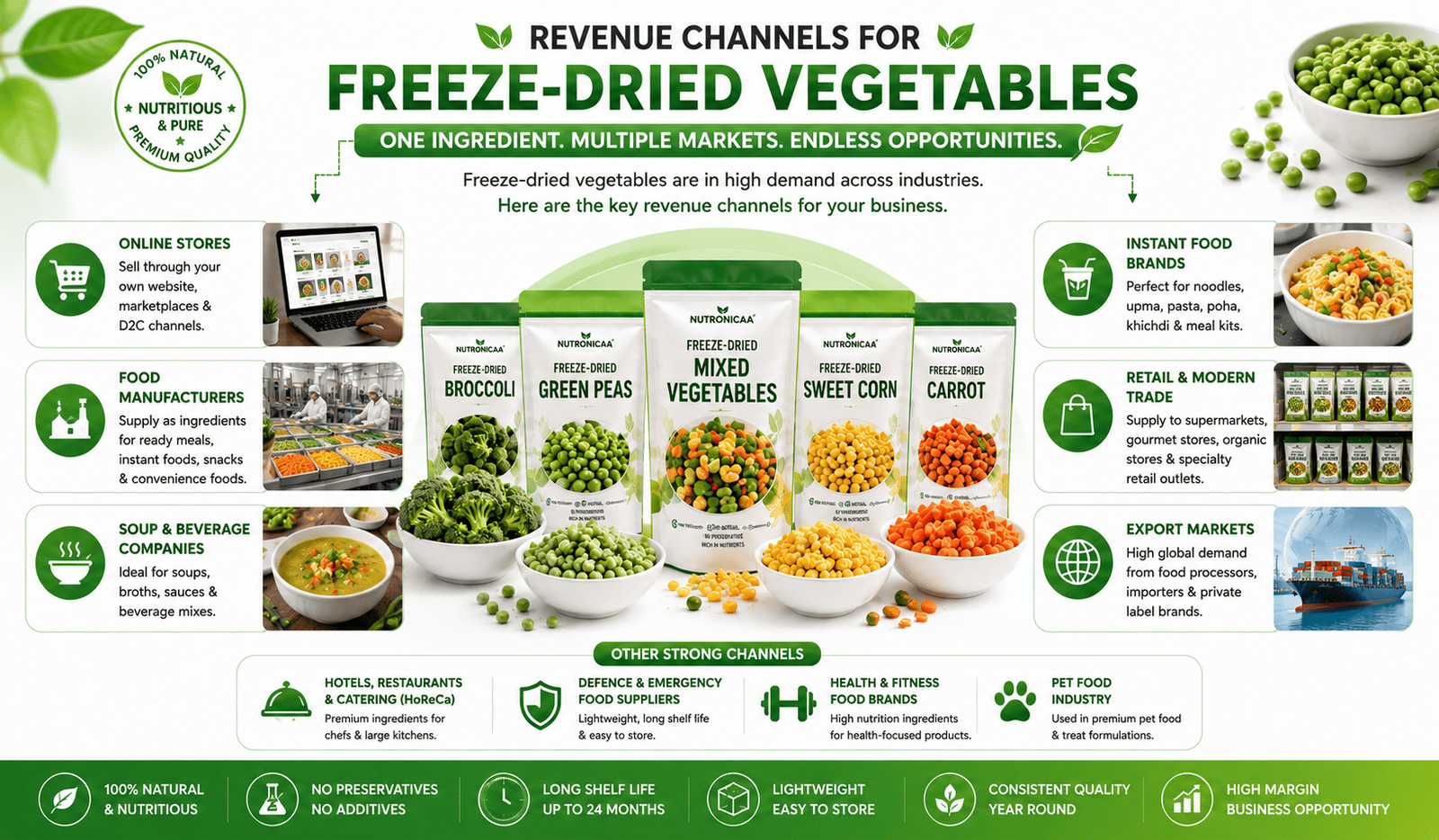 Revenue channels for freeze-dried vegetables business in India