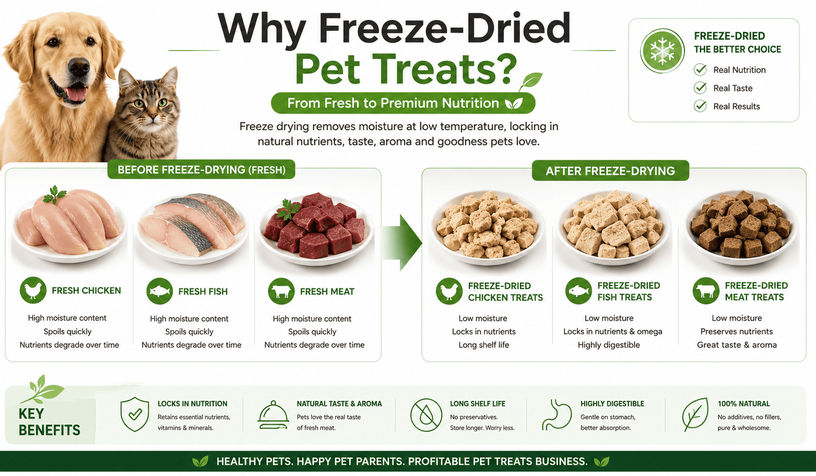Why freeze-dried pet treats for premium pet nutrition business